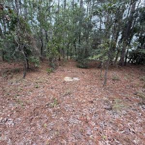 36F8AB26-EF06-471B-9AC4-7A203FEE372D