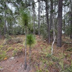 CAC2BBA6-6F71-4340-9AE0-611813BDB76A