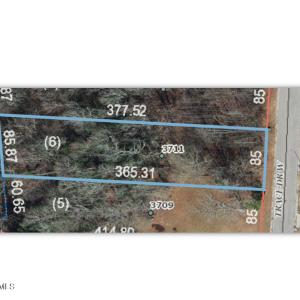 Aerial GIS View