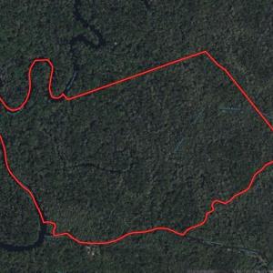 Waccamaw River Hunting Land