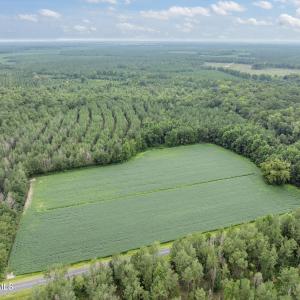 1-web-or-mls-DJI_0715