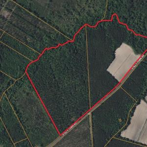 Screenshot 2025-08-06 at 10.08.38AM