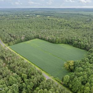 2-web-or-mls-DJI_0712