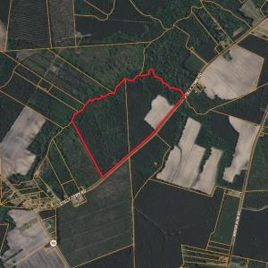 Screenshot 2025-08-06 at 10.08.52AM