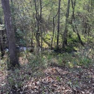 Back of property wet stream