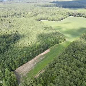 13 acre open field