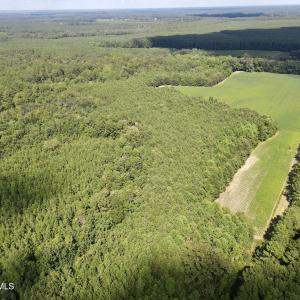 68 acres woodland