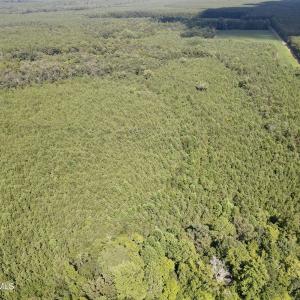 dji_fly_20250815_153638_990_175528807715