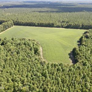 13 acre open field