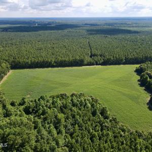 13 acre open field