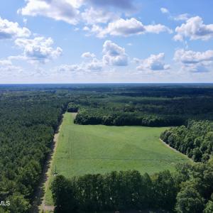 13 acre open field