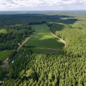 Back 30 ac cleared field