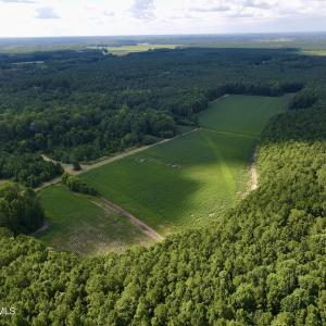 Back 30 ac cleared field