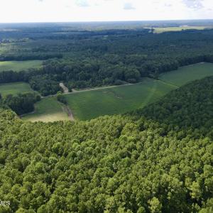 Back 30 ac cleared field