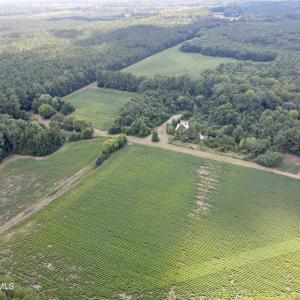 dji_fly_20250815_155216_17_1755288124264