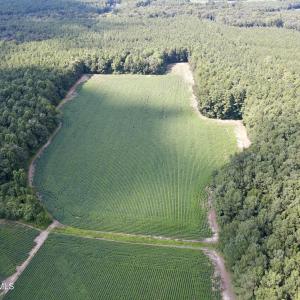 dji_fly_20250815_155242_19_1755288142141