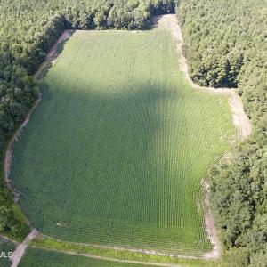 dji_fly_20250815_155254_20_1755288145906