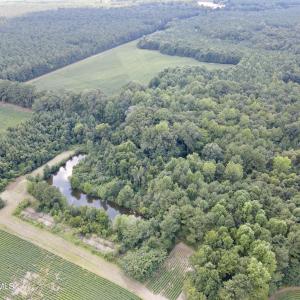 dji_fly_20250815_155308_21_1755288149325