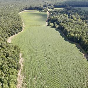 dji_fly_20250815_155410_22_1755288153192
