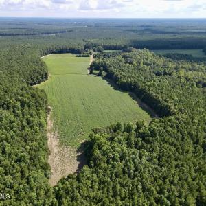 dji_fly_20250815_155456_23_1755288157329