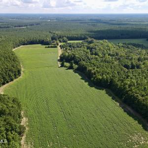 dji_fly_20250815_155516_24_1755288161056