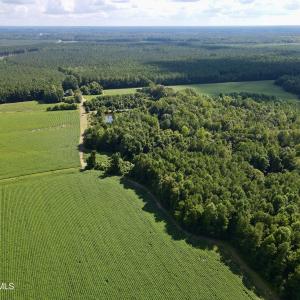 dji_fly_20250815_155528_25_1755288165580