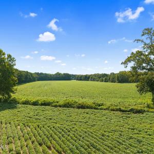 11-web-or-mls-CAMMediaLLC.com (11 of 19)