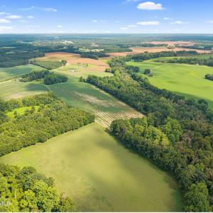 5-web-or-mls-CAMMediaLLC.com (5 of 19)