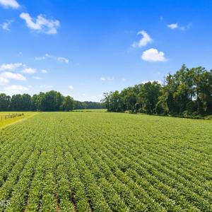 10-web-or-mls-CAMMediaLLC.com (10 of 19)