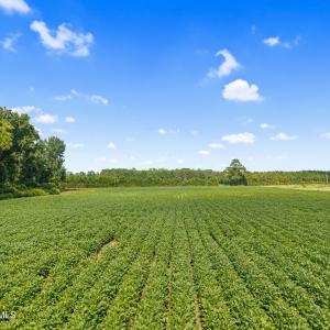 18-web-or-mls-CAMMediaLLC.com (18 of 19)