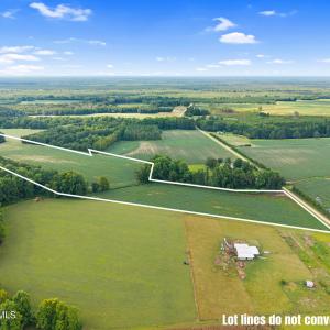 3-web-or-mls-CAMMediaLLC.com (3 of 19)