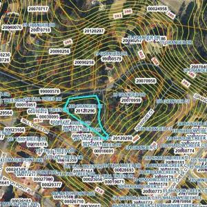 GIS Map Contour Zoomed Out