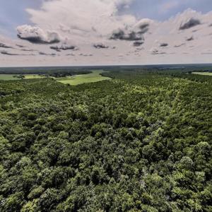 aerial