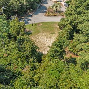 Wooded with Partial clearing