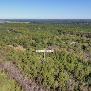 6621CanetuckDrone-14