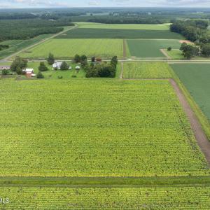 8-web-or-mls-DJI_0609