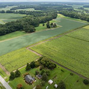 12-web-or-mls-DJI_0613