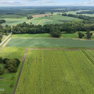 11-web-or-mls-DJI_0612