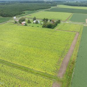 7-web-or-mls-DJI_0608