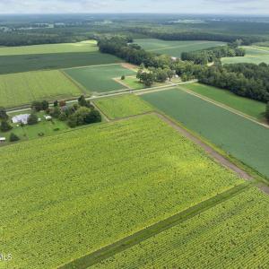 10-web-or-mls-DJI_0611