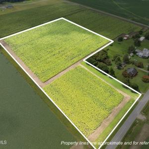 13-web-or-mls-DJI_0614_1