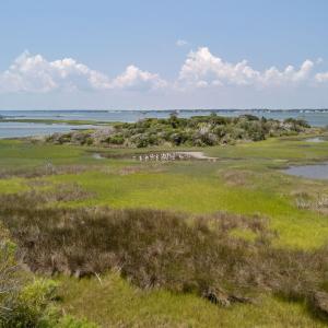 15-web-or-mls-DJI_20250818135023_0994_D