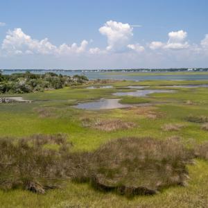 16-web-or-mls-DJI_20250818135026_0995_D