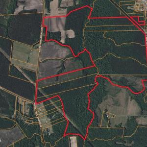 Screenshot 2025-08-06 at 10.22.17AM