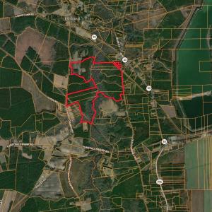 Screenshot 2025-08-06 at 10.22.30AM