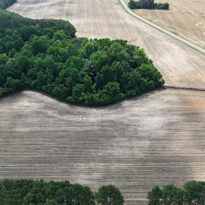 DJI_20250604111118_0339_D