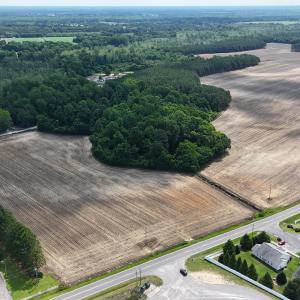 DJI_20250604111212_0341_D