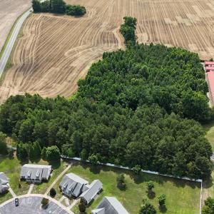 DJI_20250604111321_0345_D
