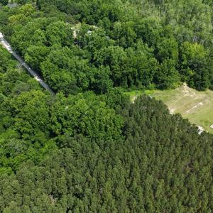 DJI_20250604111541_0350_D