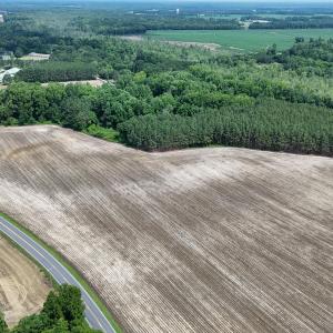 DJI_20250604111642_0353_D